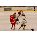 REDS - MASARO 2023 - 24