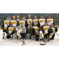 Hanak team 2013