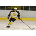 Drulin (2)