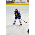 Buldok1
