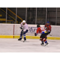 11.01.27 UDH-RED 7