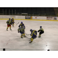 Zápas 12.01 HAN-STS 20