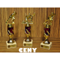 Sošky-ceny